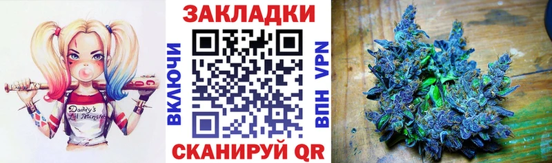 Галлюциногенные грибы Бокситогорск